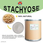 HPLC Tested Food Grade Natural Polydextrose Powder Prebiotic Fiber Supplement Gut Health Green Tea Extract Rice Grain Jar 1kg