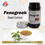Organic 500mg Fenugreek Extract Capsules 50% Saponins Natural Herbal Supplement Promotes Female Breast Milk Antioxidant