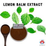 Organic 10:1 Lemon Balm Extract Powder Food Grade Herbal Supplement Vegan Functional Food Beverage Bottle Youth Brand 1kg MOQ
