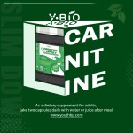 Green Tea L-Carnitine Capsules Zinc Chromium Natural Advanced Fat Metabolism Support Energy Dietary Supplement 90 Capsules 1000mg