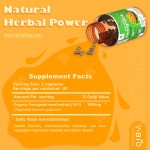 Fenugreek Seed Extract Capsules 50% Sulfate Saponins 90 Capsules Vegan Capsules GMP Manufacturing Traceable Ingredients YOUTH Brand Antioxidant