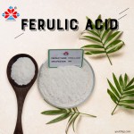 99% Pure Vanillic Acid Powder Food Grade Herbal Extract Natural Skincare Antioxidant Plastic Container Jar Can Bottle