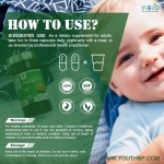 Fenugreek Extract Dietary Supplement Capsules OEM/ODM Service - GMP Certified Adult Health Factory 90 Capsules/Bottle