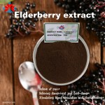 25% Pure Food Grade Elderberry Peel Extract Powder HPLC Rich in Anthocyanins Herbal Supplement Vacuum Packed Drum Container