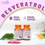 OEM/ODM/OBM Natural Pure Organic 99% Resveratrol Capsules Anti-aging Antioxidant Brain Focus Herbal Supplement Adult