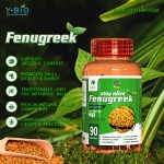 Factory Price Fenugreek Extract Capsules - Natural Herbal Supplement Breast Milk Production HALA Certified Food Grade Adult