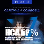 Factory Price Private Label Service Garcinia Cambogia Complex Capsules (HCA 60%) Enhanced with Vitamin C Chromium Youth