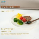 OEM/ODM Youth High Protein 65% Content Refined Spirulina Tablets 600 Tablets/Bottle Improves Memory Sleep Iron Magnesium