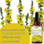 Private Label Organic Mullein Leaf Extract Drops Natural Supplement for Adult Lung Cleanse Respiratory Support