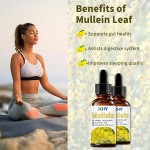 Private Label Organic Mullein Leaf Extract Drops Natural Supplement for Adult Lung Cleanse Respiratory Support