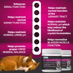 OEM ODM Dog Cat D-Mannose Supplement Powder Effective Treatment for Urinary Tract Infections D-Mannose Powder