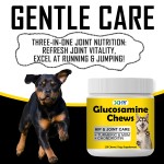 OEM Glucosamine Chondroitin Joint Chews Pet Supplement for Dogs