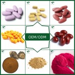 Wholesale OEM Nutrition Optimal Whey Protein Powder for Adults Manufactured Factory for Muscular Masses Sports Nutrition