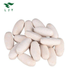 OEM Phosphatidylserine Tablet Nootropics Brain Support Supplement