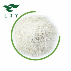 Oem运动乳清蛋白粉重量肌肉质量补充健美健身房与锌肌酸散装乳清可以定制