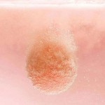 手工制作的天然有机素食浴炸弹泡沫浴泡沫，51个炸弹De Bain Da Bagno迷你浴炸弹25克礼物套装