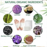 Oem排毒脚垫草药提取物身体毒素去除