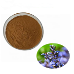 Wholesale Bulk 100% Natural Pure 1% Turkesterone Extract Powder Ajuga Turkestanica Powder Extract Turkesterone Capsules
