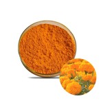 Eye Health Marigold Flower Extract Powder Lutein Lutein 5%-20% Food Supplement