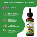 GMP Certified Liquid Drops Herbal Formula with Milk Thistle