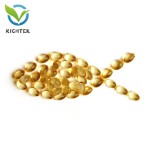 Hot Selling Fish Oil 1400 Raw Material Fish Oil Supplement Fish Oil Bulk Health Product 2 Years