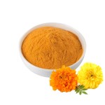 Eye Health Marigold Flower Extract Powder Lutein Lutein 5%-20% Food Supplement