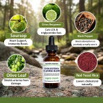 OEM/ODM Natural Herbal Supplement for Liver Detox