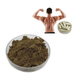 Wholesale Bulk 100% Natural Pure 1% Turkesterone Extract Powder Ajuga Turkestanica Powder Extract Turkesterone Capsules