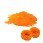 Eye Health Marigold Flower Extract Powder Lutein Lutein 5%-20% Food Supplement
