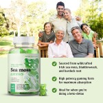 Adult Vegan Organic Seamoss Gummies Immune Support Herbal Supplement Burdock Root Extract and Bladderwrack