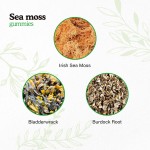 Adult Vegan Organic Seamoss Gummies Immune Support Herbal Supplement Burdock Root Extract and Bladderwrack