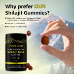 Pure Himalayan Shilajit Gummies Shilajit Extract Shilajit Gold Gummies