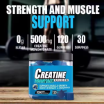OEM 120-Count Sugar-Free Blueberry Flavor Creatine Monohydrate Gummies