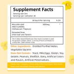 Health Private Label Natural Organic Plant Extract Liquid Chasteberry Leaf Extract Drops