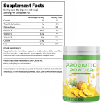 300g Adult Vegan Pineapple Powder Drink