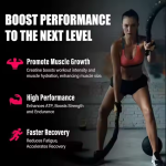 OEM 120-Count Sugar-Free Blueberry Flavor Creatine Monohydrate Gummies