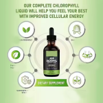 6000mg Mint Drops Chlorophyll Liquid