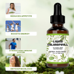 Vegan Natural Supplemental Chlorophyll Herbal Extract Liquid Chlorophyll Drops