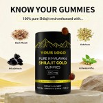 Pure Himalayan Shilajit Gummies Shilajit Extract Shilajit Gold Gummies
