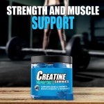 Besica BIOCCHN Private Label Energy Pre-Workout Supplement Creatine Monohydrate Gummies Vegan Weight Gain Gummies