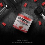 Besica BIOCCHN OEM Private Label Creatine Gummies Muscle Builder Gummy Supplement