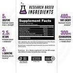 Besica Private Label Vegan Supplement BCAA Creatine Monohydrate Gummies Pre-Workout Energy Creatine Gummies