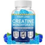 Besica Custom Creatine Gummy Bears Creatine Monohydrate Gummies Energy Muscle Builder Pre-Workout Supplement