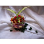 Dietary Supplement Co Q10 Softgel Capsules with Co Q10 100mg