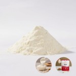 Besica GMP OEM Private Label Vegan Protein Powder Organic Whey Protein Powder BCAA Amino Acid Supplement