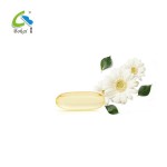 Fish Oil Softgel Capsules Health Product Food Supplement Enhance Immunity for Men and Women