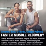 Besica OEM Manufacturer Creatine Monohydrate Powder - Pure Creatine Powder Sports Supplement for Building Muscle