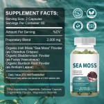 OEM Private Label Organic Sea Moss Capsules 2000mg with Bladderwrack and Burdock Root for Joint Health