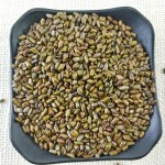 Organic Cassia Seed Blend Tea - Visual Clarity