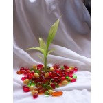 Dietary Supplement Co Q10 Softgel Capsules with Co Q10 100mg